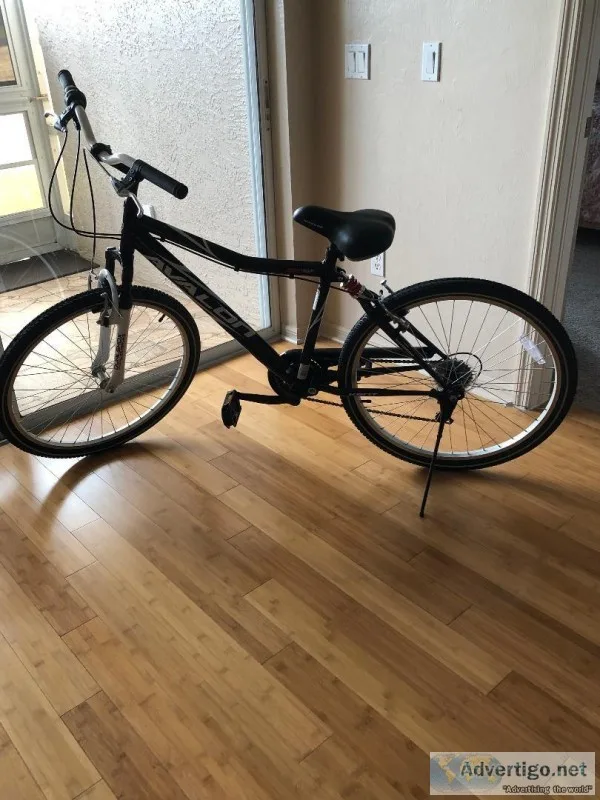 AVALON MEN S BIKE 7 SPEED