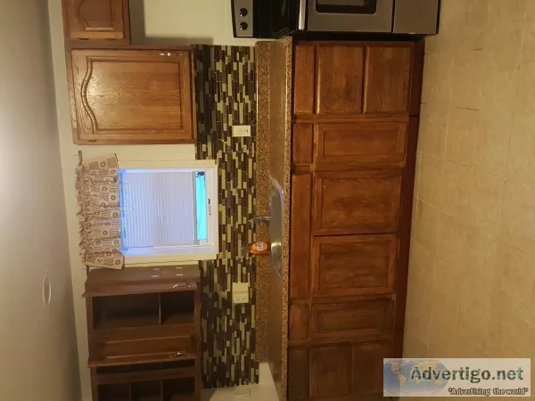 One large bedroombathroom apartment