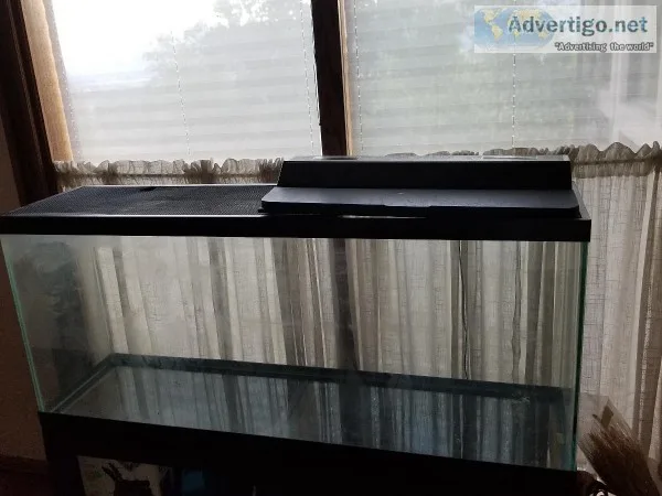 55 gallon aquarium