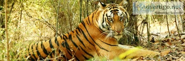 Book Adventure Tour in India - Imperialvoyages