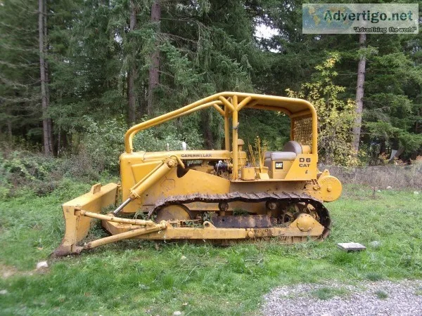 D-6 cat for sale