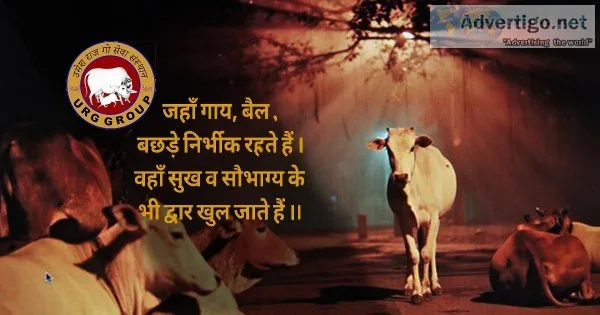 URGgo seva sansthan
