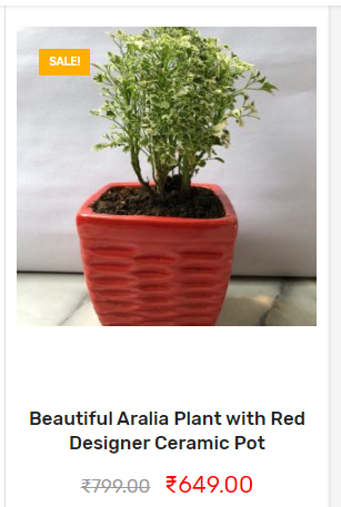 Tulsi plant home delivery