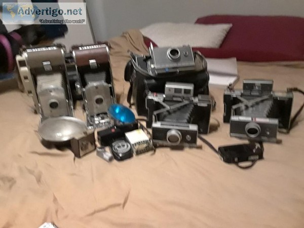 Antique and Vintage Cameras
