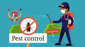 Rashtriya Chemical and Herbal Pest Control Service