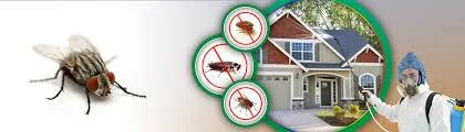 Fly Insect Control Service