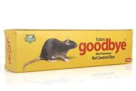 Rat Guard Service