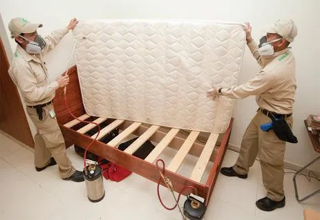 Bed bugs Control Service