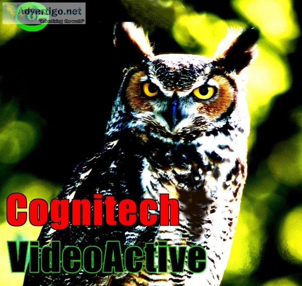 Forensic Video Processing Software