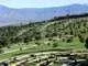 Two Cemetery Plots For Sale
