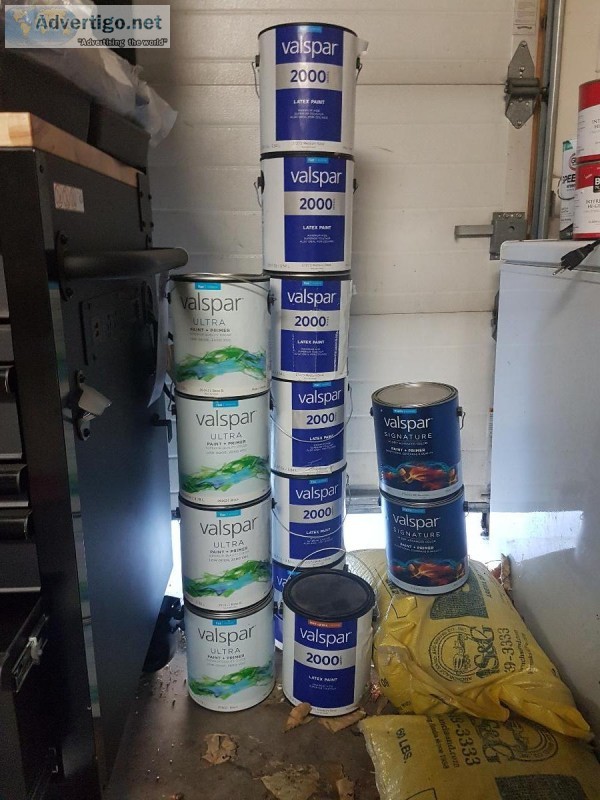 Paint Valspar flat interior Latex White
