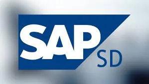 SAP SD Courses Training Institute in Pune SAP Online&nbspTrainin