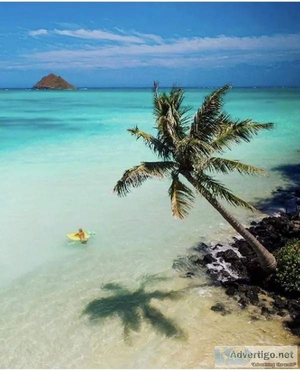 Home Based Travel Agent