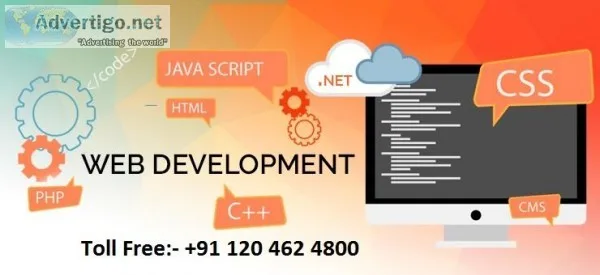web development services in india  web development service provi