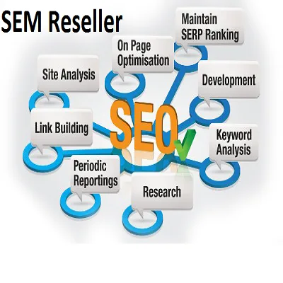 WHAT TO REALLY EXPECT FROM YOUR SEO COMPANY