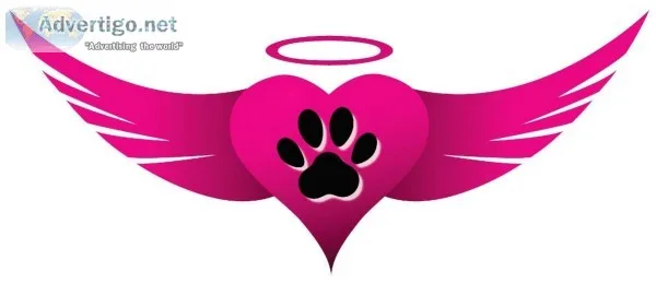 Home Euthanasia Service for pets