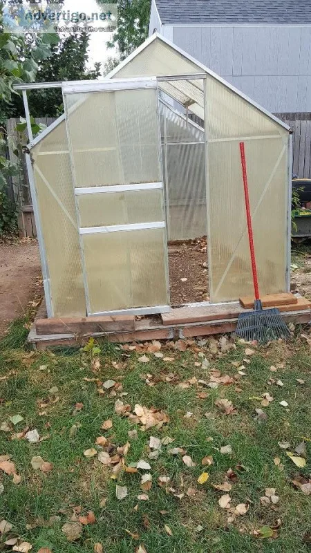FREE TO GOOD HOME