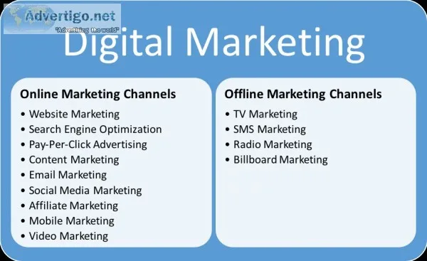 Learn Digital Marketing Professional Course