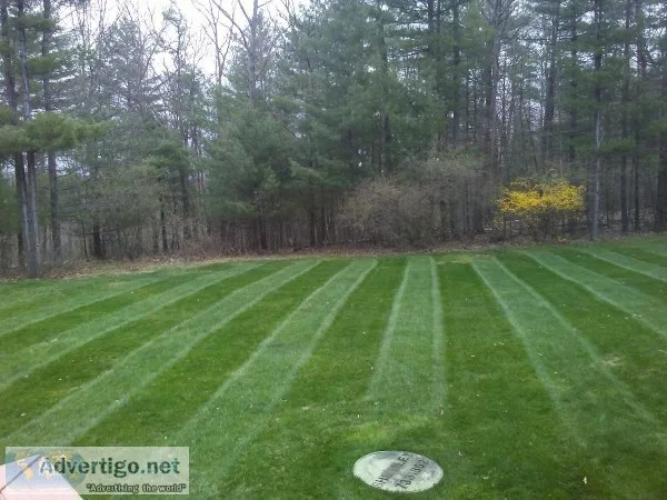 2WeekGreen Professional Landscaping