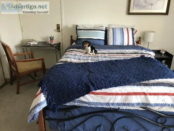 Available for rent - Nice Bed and bath