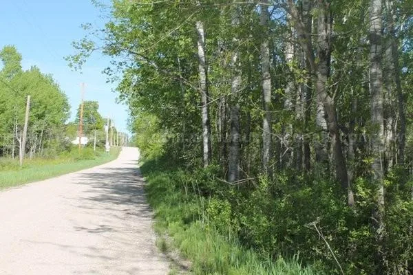 Beautiful 3 Acre Michigan WOODED CORNER