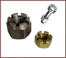 hex slotted nut in delhi