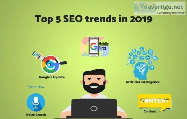 Seo in Azadpur