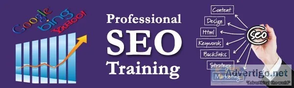 SEO Training in Noida &ndash APEX TGI