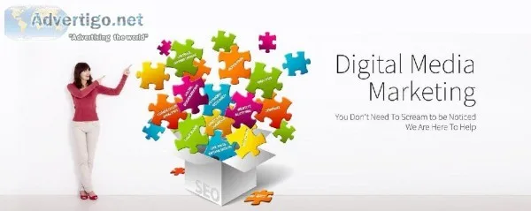 Get Unlimited Digital Marketing Services in Delhi at your Budget