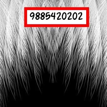 Looking for Graphic Design Training in Hyderabad Join Hamstech