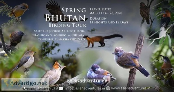 Spring Bhutan Birding Tour