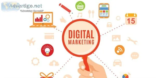 Best SEO Company in India