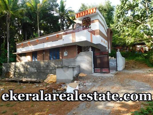 Vellaikadavu independent new house for sale