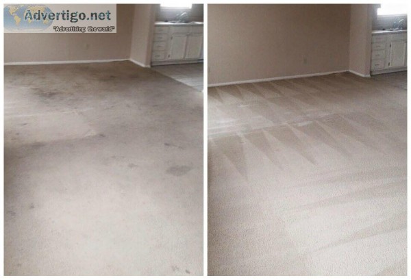 Best Carpet Cleaning In Estero Fl.