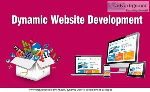 Dynamic Web Development Company