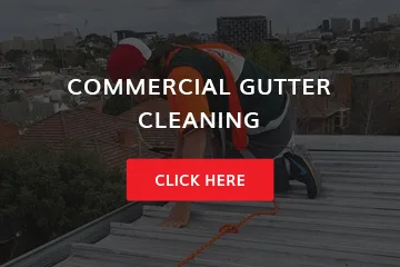 Assistance with gutter cleaning in South East Melbourne