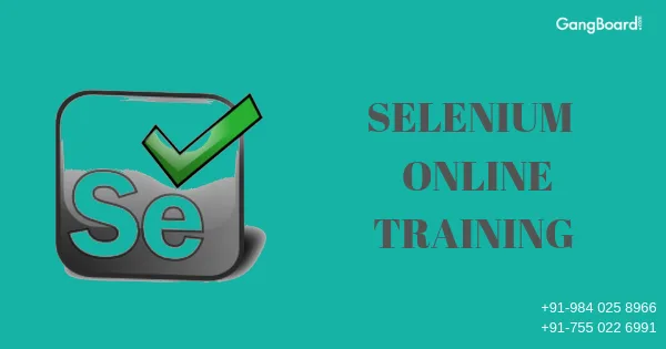 Selenium certification training