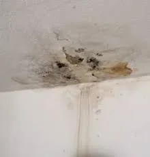 Bathroom Leakage Repair  bathroom leak repair cost