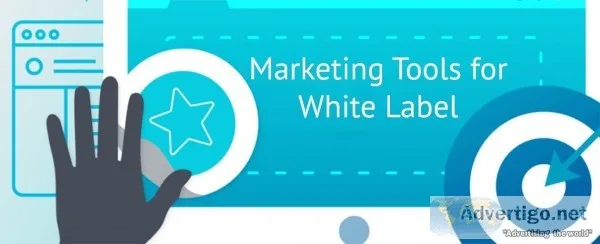 White Label Digital Marketing Company in Delhi - State Services