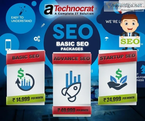 SEO services by professionals within budget