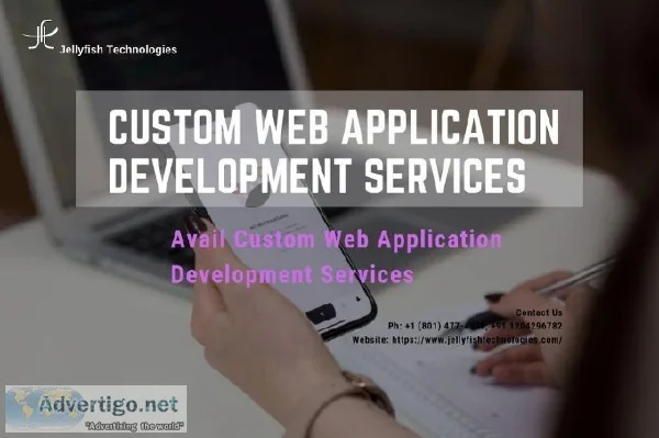 Avail Custom Web Application Development Services