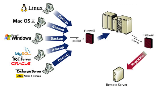 Small Business Server Installation Houston