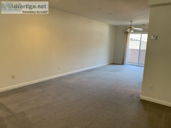 Amazing cleaning services