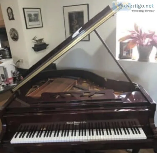 Free baby grand piano