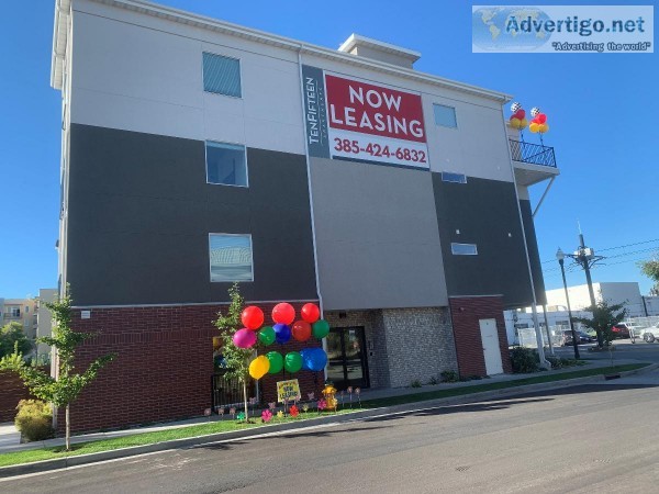 Stop Looking Start Leasing and Love Where You Live