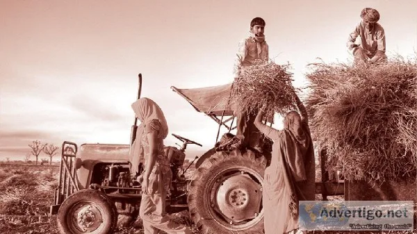 Get the global opportunities in the food and agriculture busines