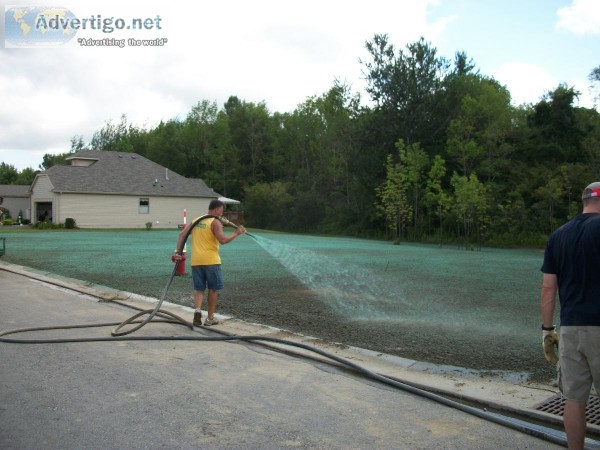 Lawn Care Service Buffalo Ny