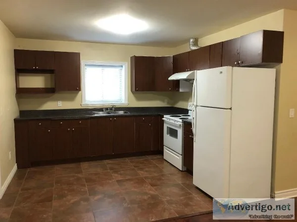 Two large bedroom basement suite in Fraser heights