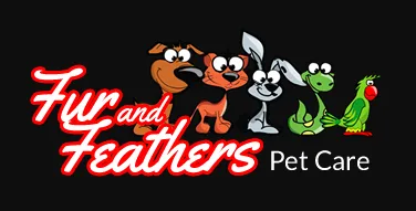 Cat and Dog Sitting in Addison IL