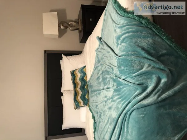 Fully furnished Apartment